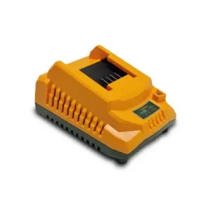 Cargador De Bateria P20s 110-120v 1.8a